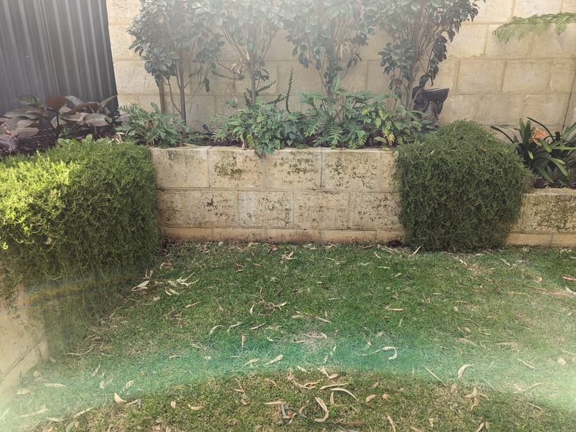 Original photo of a room with roomGPT.io